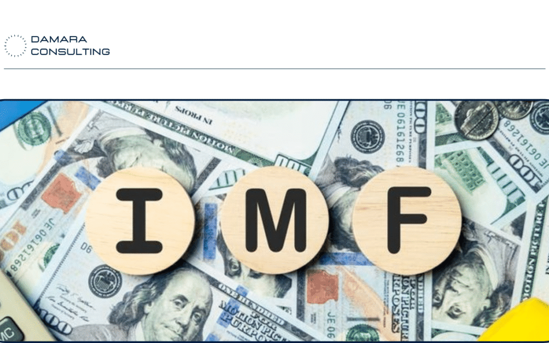 Bagaimana Indonesia Hadapi “Uncertainty Is the New Normal” IMF 2025